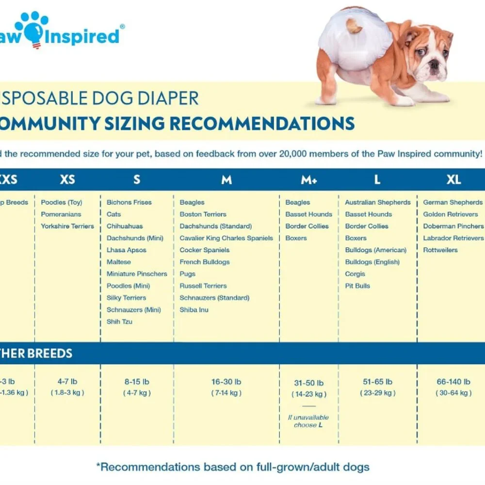 Paw Inspired Super Absorbent Doggie Disposable Diapers L